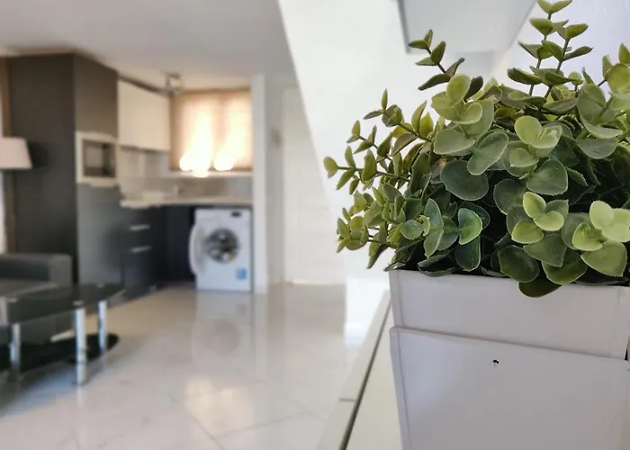 Parque Santiago 2 - Playa De Americas Tenerife Arona (Tenerife)